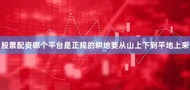 股票配资哪个平台是正规的耕地要从山上下到平地上来