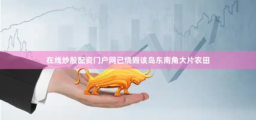 在线炒股配资门户网已烧毁该岛东南角大片农田