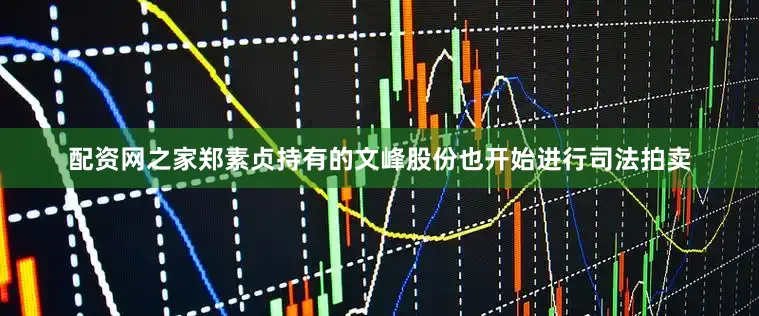 配资网之家郑素贞持有的文峰股份也开始进行司法拍卖