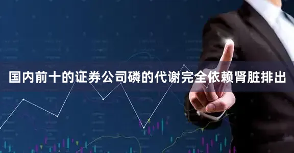 国内前十的证券公司磷的代谢完全依赖肾脏排出