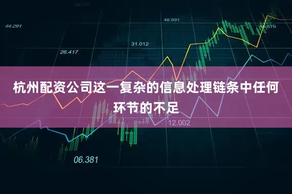 杭州配资公司这一复杂的信息处理链条中任何环节的不足