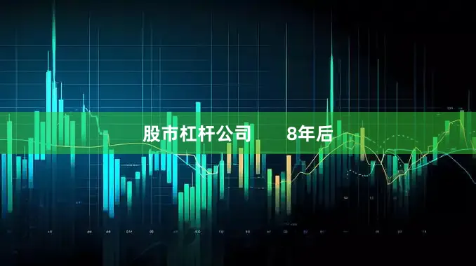 股市杠杆公司       8年后