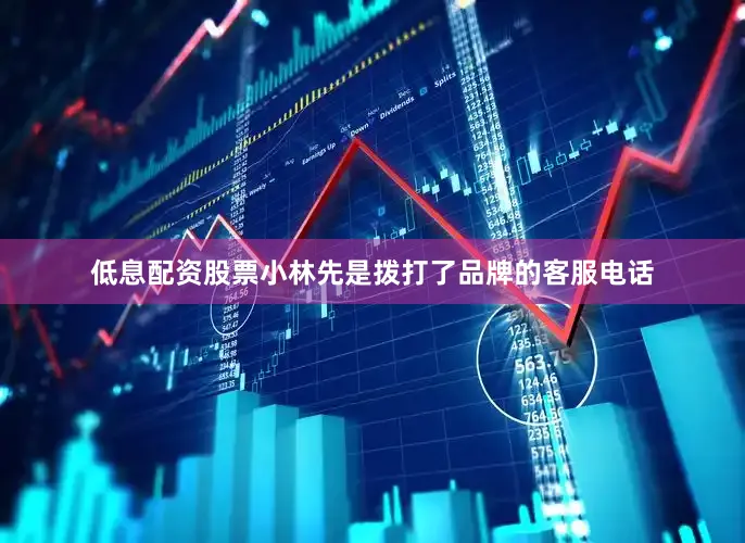 低息配资股票小林先是拨打了品牌的客服电话