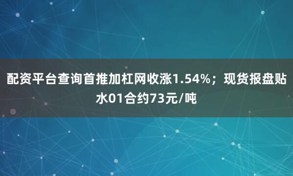 配资平台查询首推加杠网收涨1.54%；现货报盘贴水01合约73元/吨